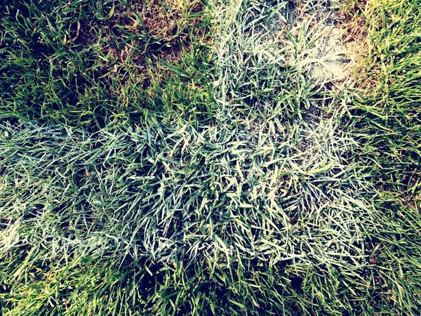 Rincón del campo de fútbol al aire libre patio de recreo, césped natural —  Fotos de Stock