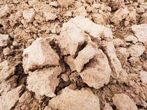 Staubtrockener Lehm auf dem Feld. leeres gepflügtes Feld wartet auf die Aussaat. Heißer Frühlingstag auf dem Feld — Stockfoto