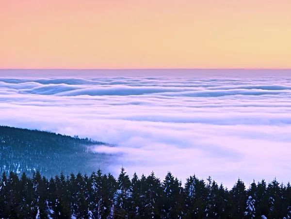 Inverterad Väder i bergen, shinning dimma. Misty valley i vinter — Stockfoto