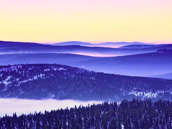 Rosa orange solen stiga över dimmiga vintern berg — Stockfoto