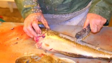 Cod, morina. Hızlı kaldırma-in ölçekler bir dosyalama masada bir tel fırça ile. Güçlü erkek görünümünü Deniz balığı ile çalışma eller. Kaldırılan ölçekler ve masanın üzerinde kan.