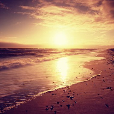 Taşlar ve sahil kumu su parkurları. İzler düzgün deniz sahilde