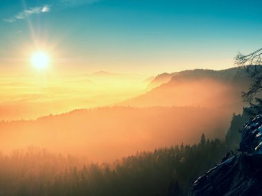 Ağaçlar puslu vadiye aracılığıyla bahar daybreak içinde görüntüleyin. Foggy ve sis