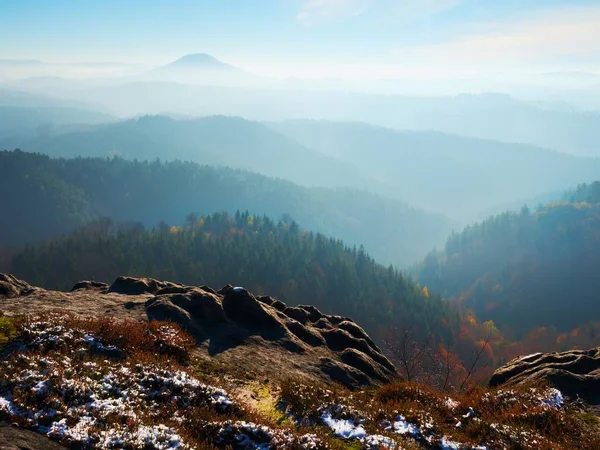 Schnee in Tinte rot blühende Heidekrautbüsche auf einer Klippe im Park. Hügellandschaft mit langem Tal voller Herbstnebel. — Stockfoto