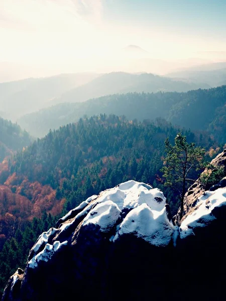 Wilder Bonsai von Kiefern auf Sandsteinfelsen, graue Wolken im Hintergrund. — Stockfoto