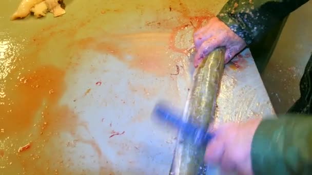 Bacalhau, o bacalhau. Homem forte na roupa de trabalho de borracha que retira escalas com uma escova de arame em uma mesa de arquivamento. Close up de mão trabalhando com peixes do mar, empresa de peixe. Escalas removidas e sangue na mesa . — Vídeo de Stock