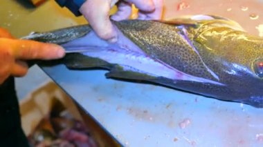 Cod, morina gutting işçi elleri. Lastik iş giyisi giyen bir adam taze yakalanmış balıklar filleting. Dorsal kesim ve et ayrılması iskelet, cesaret kaldırma. Balık çiftliği kasap.