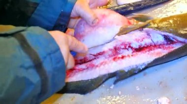Cod, morina gutting işçi elleri. Lastik iş giyisi giyen bir adam taze yakalanmış balıklar filleting. Dorsal kesim ve et ayrılması iskelet, cesaret kaldırma. Balık çiftliği kasap.