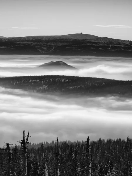 チル逆天気冬山、重い霧の中で. — ストック写真