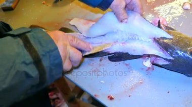 Cod, morina. Lastik iş giyisi ölçekler bir dosyalama masada bir tel fırça ile kaldırma güçlü adam. El ile deniz balığı, Balık Firma çalışma kapatın. Kaldırılan ölçekler ve masanın üzerinde kan.
