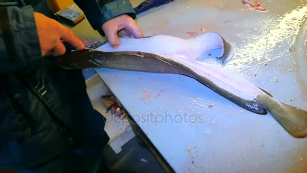 Hands of worker gutting Common ling, the ling fish (Molva molva). A operator wear rubber clothes is filleting freshly caught fish. Dorsal cut and separation meat from skeleton, removing guts. — Stock Video