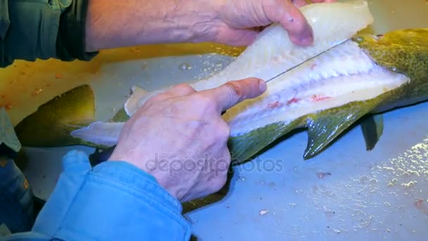 Γάδος, ο μπακαλιάρος. Ισχυρός άνδρας με λαστιχένια ρούχα εργασίας αφαίρεση κλίμακες με μια συρμάτινη βούρτσα σε έναν πίνακα της κατάθεσης. Κοντινό πλάνο της χέρι που ασχολούνται με τα ψάρια στη θάλασσα, ψάρια εταιρεία. Αφαιρεθεί κλίμακες και αίμα στο τραπέζι. — Αρχείο Βίντεο