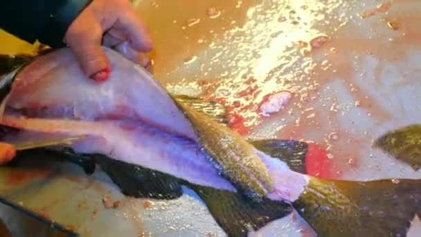 Manos de trabajador limpiando y fileteando pescado fresco capturado en una fábrica familiar. Corte dorsal y separación de la carne del esqueleto, eliminando tripas . — Vídeos de Stock