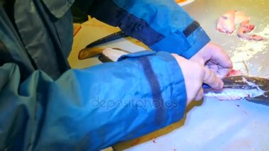 Eller işçi gutting ortak Ling ling (Molva molva) Balık. Bir işleç aşınma lastik kıyafetleri yakalanan taze balıklar filleting. İskelet, cesaret kaldırma dorsal kesim ve ayırma et.