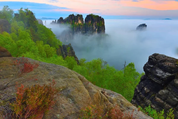 Colores de primavera. Salida del sol primaveral sobre rocas y bosque verde fresco, valle colorido lleno de niebla densa —  Fotos de Stock
