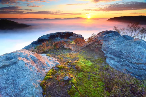 Colores de primavera. Salida del sol primaveral sobre rocas y bosque verde fresco, valle colorido lleno de niebla densa — Foto de Stock