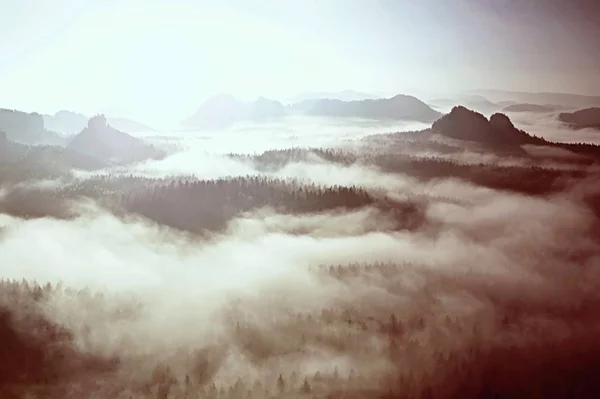 Sisli vadinin içine manzaralı kayalık dağ üstünde harika rüya gibi gündoğumu — Stok fotoğraf
