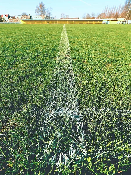 Confine di linee bianche dipinte su erba naturale secca calcio. Taglio verde tappeto erboso texture . — Foto Stock