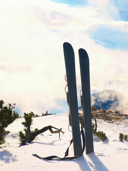 Skidor i snön på bergen, trevlig solig vinterdag på topp — Stockfoto