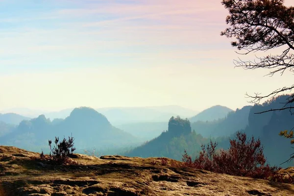 The peak of cliff with bush of heather. Beautiful valley of rocky mountains park. — Stock Photo, Image