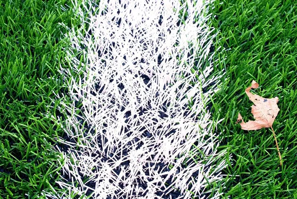 End of football season. Dry leaf on ground of plastic green football turf with painted white line . — Stock Photo, Image