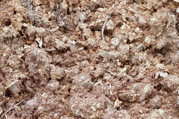 Přírodní hnojivo z kravského hnoje — Stock fotografie