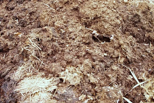 Natural fertilizer from cow dung — Stock Photo, Image