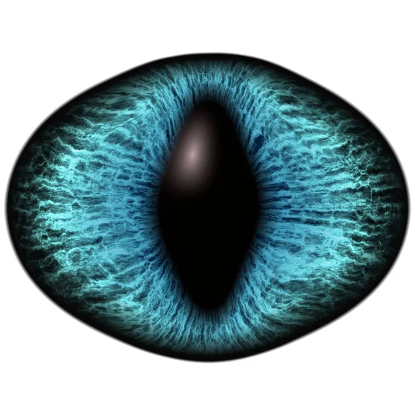 Zvláštní modré oko kočičí zvířete s barevnými iris. Detailní pohled do izolované dravčí oko žárovka — Stock fotografie
