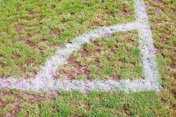 Corner of football playground, natural grass — Stock Photo, Image