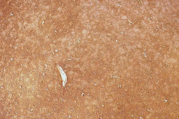 Hoja de lima seca una pista de tenis. Ladrillos triturados en seco —  Fotos de Stock