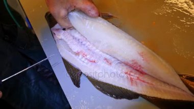 Temizlik ve taze deniz Morina balığı bir aile fabrikasında filleting işçi. Dorsal kesim ve ayırma fileto balık kemikleri, cesaret kaldırma gelen. 