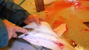Temizlik ve taze deniz Morina balığı bir aile fabrikasında filleting işçi. Dorsal kesim ve ayırma fileto balık kemikleri, cesaret kaldırma gelen. 