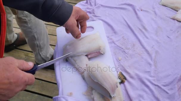 Filé de peixe cortando no mercado de frutos do mar de rua. Mãos masculinas estão preparando filé de peixe e cortá-lo em tábua de corte de plástico. O cozinheiro verificar filé de peixe, comida saudável — Vídeo de Stock