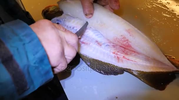 Checking the quality of the raw fish meat in the market with detail of butchers hand. Food industry, meat processing. Butcher checking parasite in raw meat of wild fish. — Stock Video