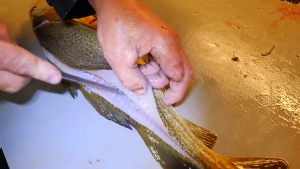 Trabajador de limpieza y fileteado de pescado fresco de bacalao en una fábrica familiar. Filetes dorsales cortados y separados de huesos de pescado, eliminando tripas . — Vídeo de stock