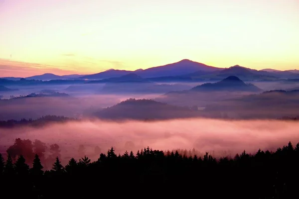 Мистический рассвет в прекрасных холмах. Вершины холмов торчат на туманном фоне, туман жёлтый и оранжевый из-за солнечных лучей. Туман качается между деревьями. . — стоковое фото