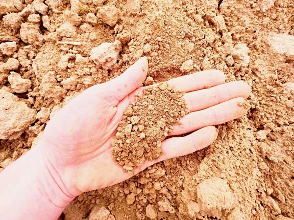 Pembe deri el ıslak kahverengi kil alanında bir şey arıyor. Tozlu palm