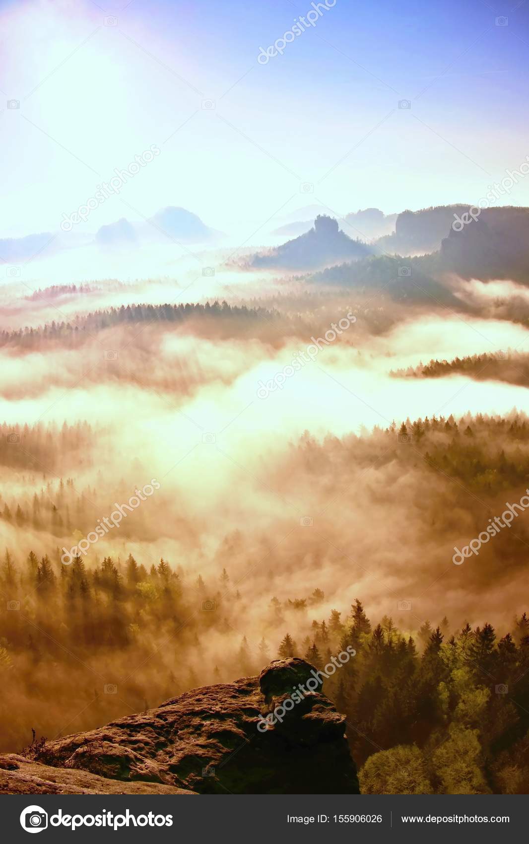 Dreamy Misty Forest Landscape Majestic Peaks Of Old Trees Cut Lighting Mist Deep Valley Is Full Of Colorful Fog Stock Photo C Rdonar Dreamy Misty Forest Landscape Majestic Peaks Of Old Trees Cut Lighting Mist Deep Valley Is Full Of Colorful Fog Stock Photo C Rdonar