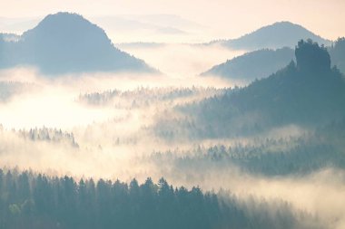 Renkli sabah güzel bir dağlık manzara içinde. Hills doruklarına sis yapışkanlık dışarı. Sis ağaçlar arasında sallanan.