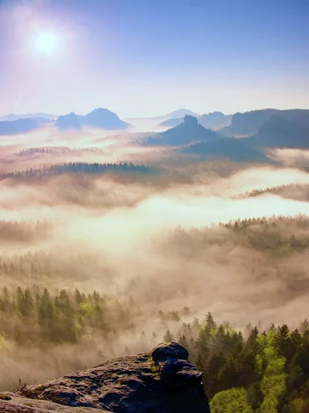 Brzask bajki. mglisty przebudzenia w pięknych wzgórz. szczytami wzgórz są wystające z mglisty tło — Zdjęcie stockowe