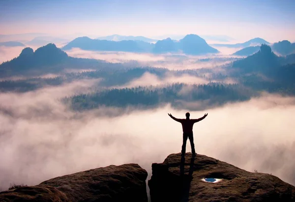 Gesto de triunfo. Caminhante feliz de preto. Homem alto no pico da rocha de arenito no parque nacional Saxônia Suíça acima do vale — Fotografia de Stock