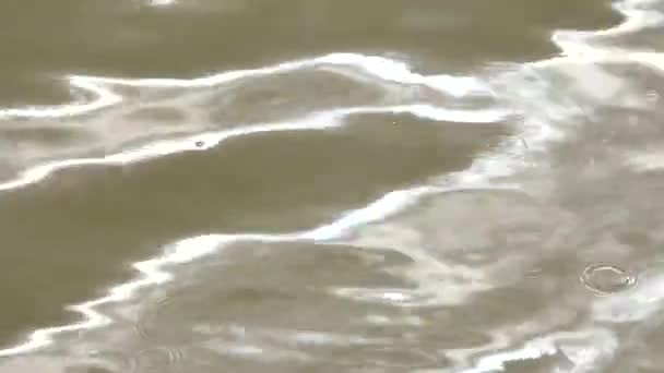 Les gouttes de pluie tombent sur le niveau de l'eau et créent de nombreux cercles de gouttes. Petites vagues passant, niveau d'eau dans de nombreuses ombres se déplaçant avec des étincelles et des reflets de lumière — Video