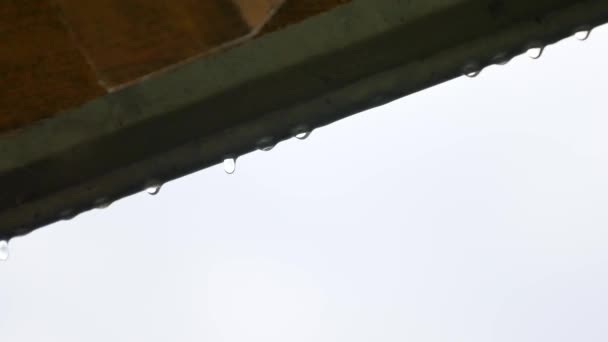 Gotas de lluvia cayendo del techo en una fila clima fondo natural — Vídeo de stock