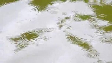 Yağmur damlaları su seviyesi ve creat pek çok damla çevrede düşer. Küçük dalgalar geçen, sparkles ve ışık yansımaları ile hareket gölgeler birçok su üstüne 