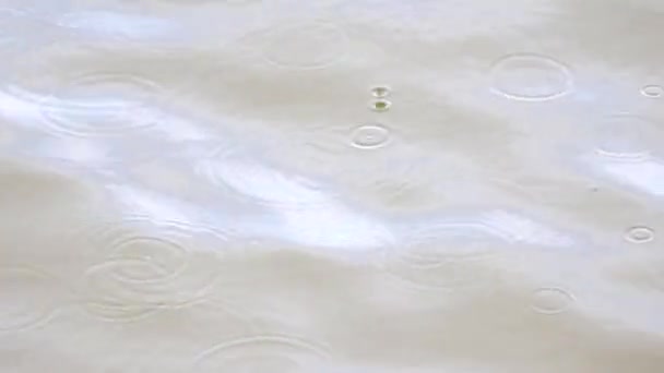 Gotas de chuva estão caindo no nível da água e criar muitos círculos gotas. Pequenas ondas passando, nível da água em muitas sombras movendo-se com brilhos e reflexos de luz — Vídeo de Stock