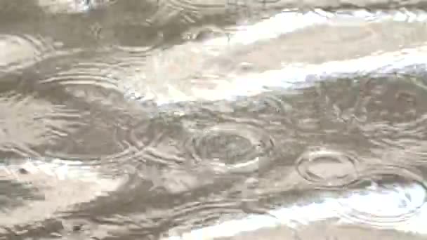 Le gocce di pioggia stanno cadendo sul livello dell'acqua e creano molti cerchi di gocce. Piccole onde che passano, livello dell'acqua in molte ombre che si muovono con scintille e riflessi di luce — Video Stock