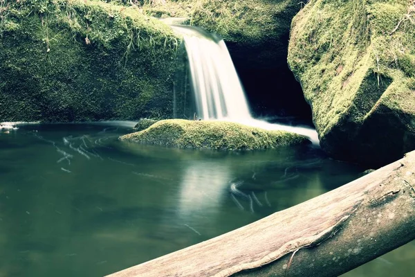 Torrent, torrente di montagna con pietre muschiate, rocce e alberi caduti . — Foto Stock