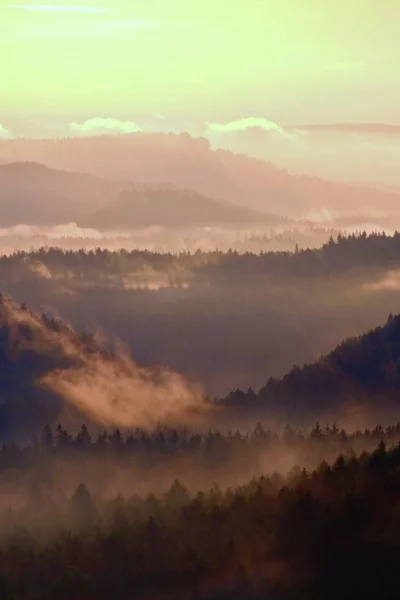 Fantástico despertar vermelho da natureza. Misty belo vale. Picos de colinas estão se levantando de névoa pesada, raios solares coloridos nevoeiro denso para laranja . — Fotografia de Stock
