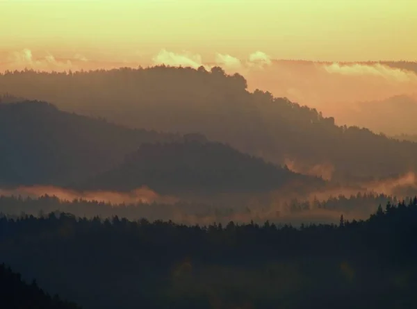 Fantástico despertar rojo de la naturaleza. Misty hermoso valle. Picos de colinas están sobresaliendo de la niebla pesada, los rayos del sol de color densa niebla a naranja . — Foto de Stock