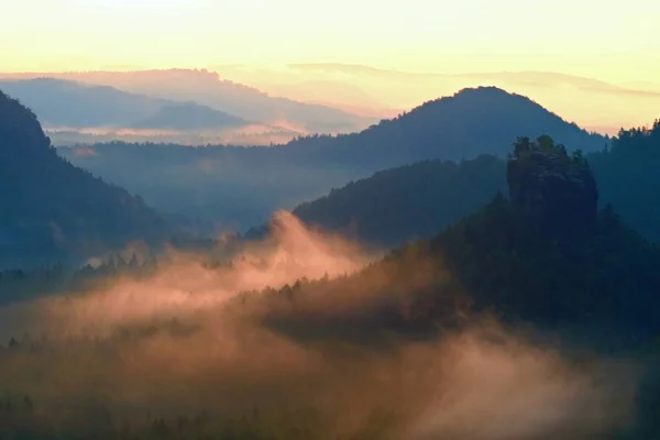 Zimny poranek w pagórkowaty krajobraz pod koniec lata. Kolorowy lato rano złoty światło i gęsta mgła między wzgórzami po deszczowej nocy — Zdjęcie stockowe